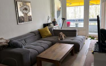Apartment 5 rooms - image - 4