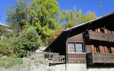 Chalet 6.5 pièces - image - 1