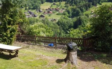 Chalet 6.5 Zimmer - image - 2