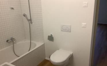 Apartment 2.5 rooms - image - 4