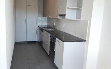 Apartment 2.5 rooms - image - 4