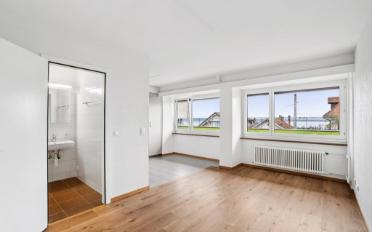 Apartment 1 room - image - 4