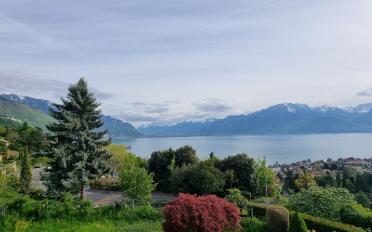 Villa 5.5 Zimmer - image - 16