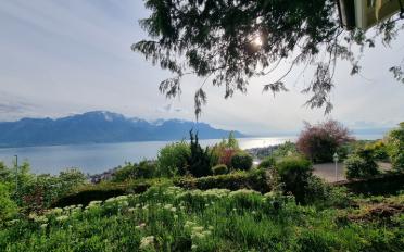 Villa 5.5 pièces - image - 16