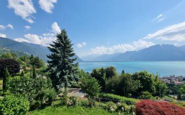Villa 5.5 pièces - image - 16
