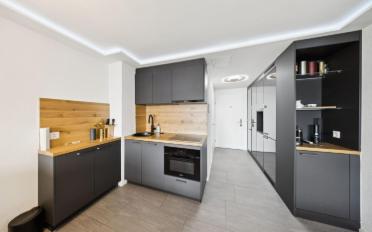 Furnished flat 1 room - image - 9