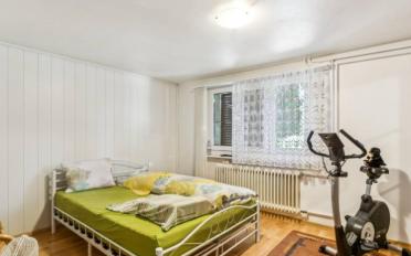 Einfamilienhaus 10.5 Zimmer - image - 9