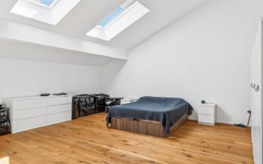 Attic flat 5.5 rooms - image - 13