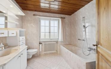 Single house 9.5 rooms - image - 8