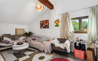 Doppeleinfamilienhaus 9.5 Zimmer - image - 3