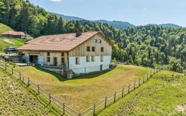 Bauernhaus 5.5 Zimmer - image - 12