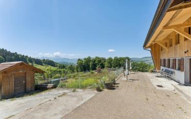 Bauernhaus 5.5 Zimmer - image - 11