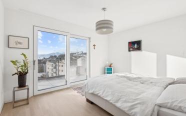 Attic flat 5.5 rooms - image - 8