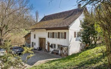Einfamilienhaus 8 Zimmer - image - 5