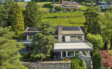 Single house 10 rooms - image - 6