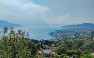 Terrain à bâtir - image - 1