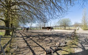 Single house 10.5 rooms - image - 11