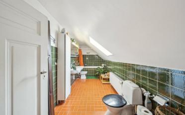 Single house 8.5 rooms - image - 6