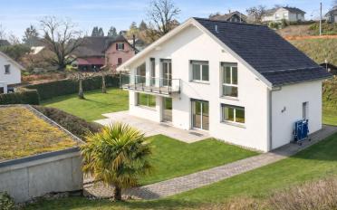 Single house 10 rooms - image - 1