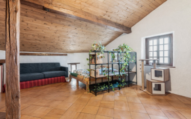 Maison 6.5 pièces - image - 11
