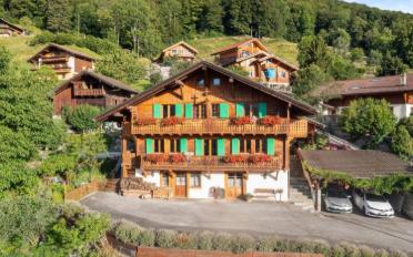 Einfamilienhaus 10.5 Zimmer - image - 1