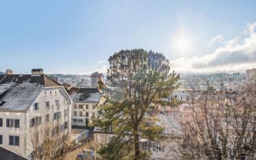 Duplex 6 Zimmer - image - 13