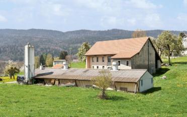 Bauernhaus 7 Zimmer - image - 2