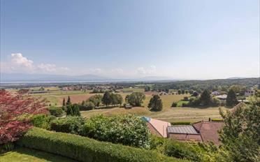 Einfamilienhaus 6.5 Zimmer - image - 3