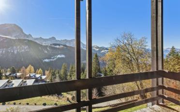 Chalet 5 rooms - image - 2