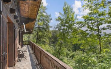 Chalet 6.5 pièces - image - 2