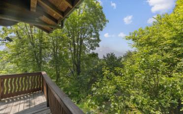 Chalet 6.5 pièces - image - 6
