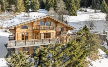 Chalet 7 pièces - image - 2