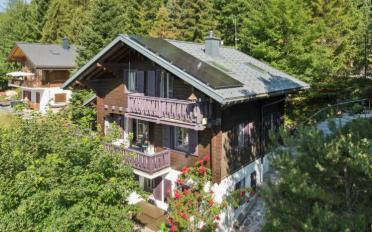 Chalet 6 Zimmer - image - 3
