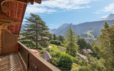 Chalet 14 rooms - image - 3