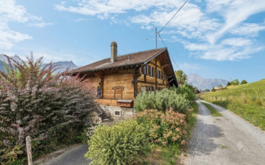 Chalet 14 rooms - image - 2