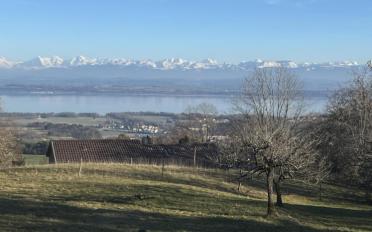 Bauland - image - 2
