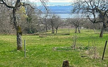 Bauland - image - 4