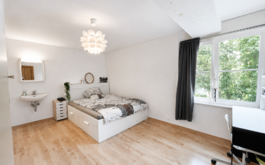 Einfamilienhaus 7.5 Zimmer - image - 11