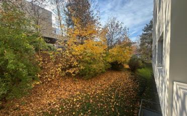 Wohnung 4 Zimmer - image - 9