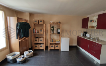 Immeuble mixte - image - 10