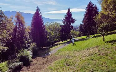 Terrain à bâtir - image - 1