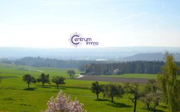 Gemischt genutzte Immobilie - image - 4