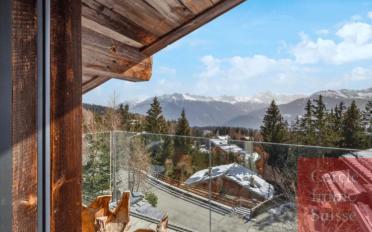 Chalet 18 pièces - image - 2