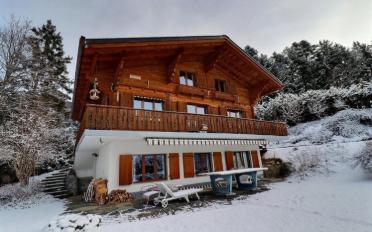 Chalet 6.5 pièces - image - 3