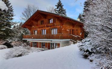 Chalet 6.5 pièces - image - 2
