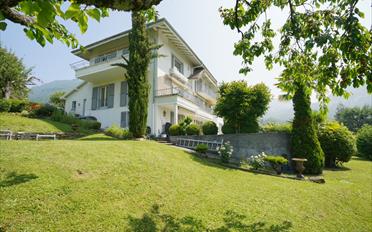 Villa - image - 21