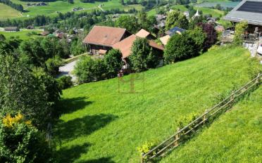 Building land - image - 1