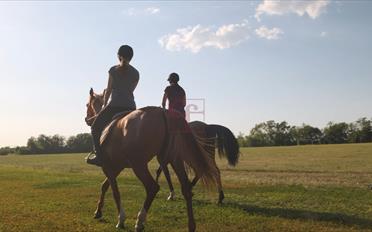Terrain à bâtir - image - 6