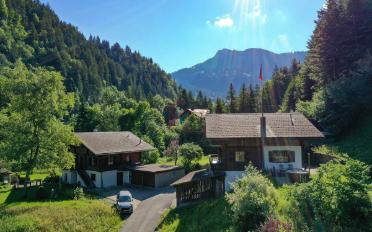 Chalet 4.5 Zimmer - image - 6