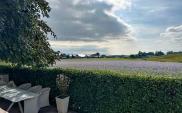 Maison 7.5 pièces - image - 5